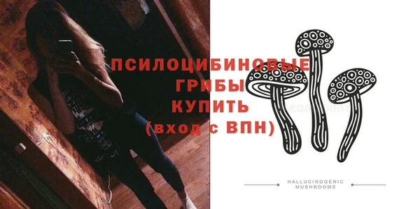 ГАЛЛЮЦИНОГЕННЫЕ ГРИБЫ Белоозёрский