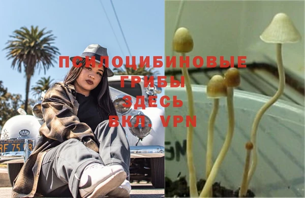 спиды Беломорск