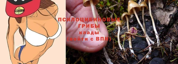 ГАЛЛЮЦИНОГЕННЫЕ ГРИБЫ Белоозёрский